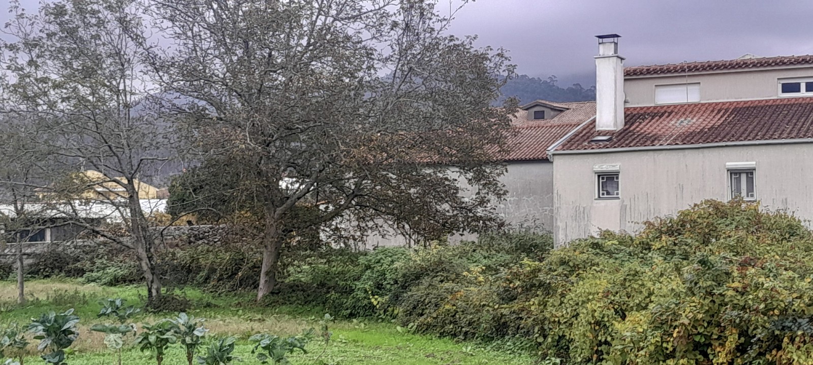 19-20241108-145629jpg
