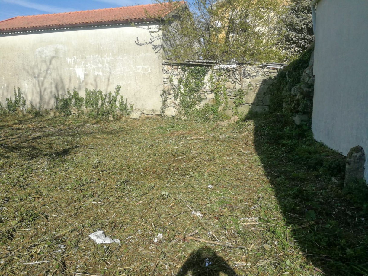 23-img-20241112-wa0070jpg