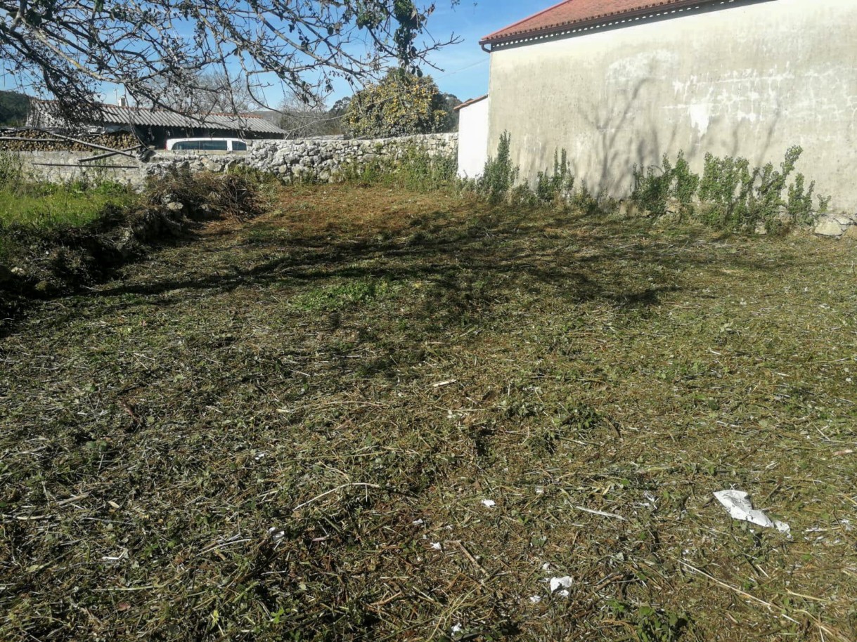 24-img-20241112-wa0068jpg