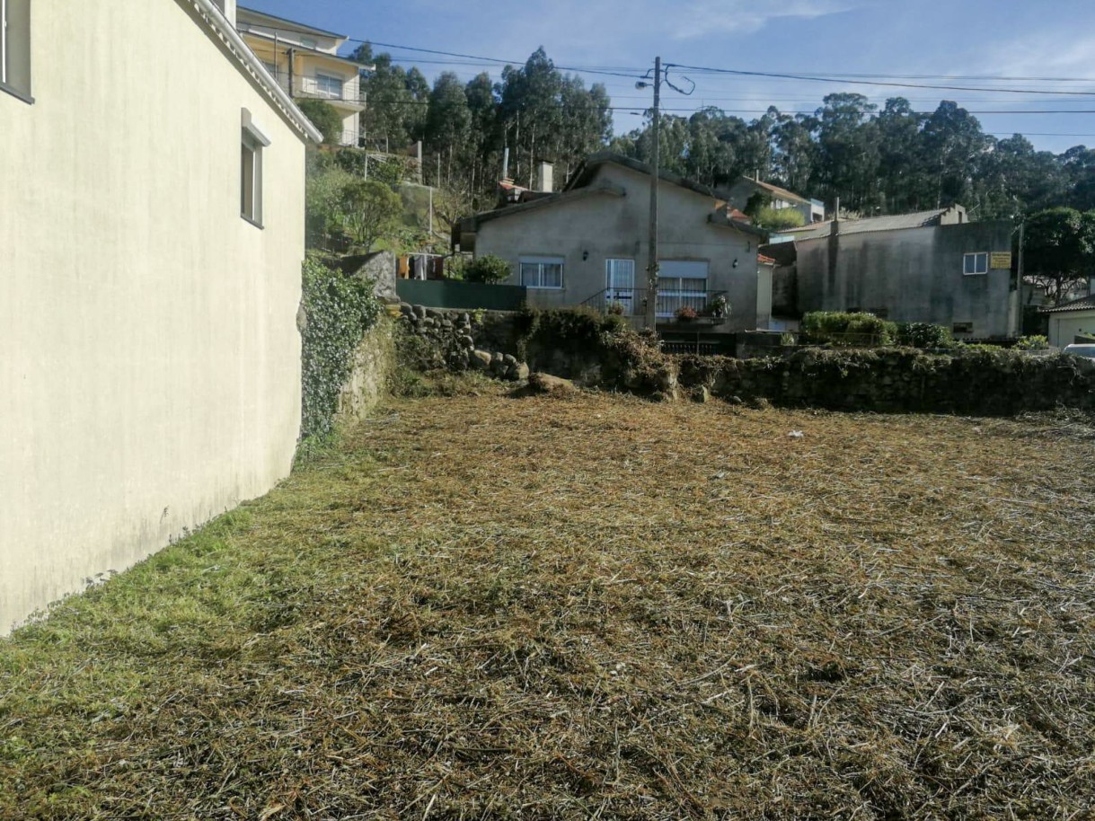 25-img-20241112-wa0069jpg