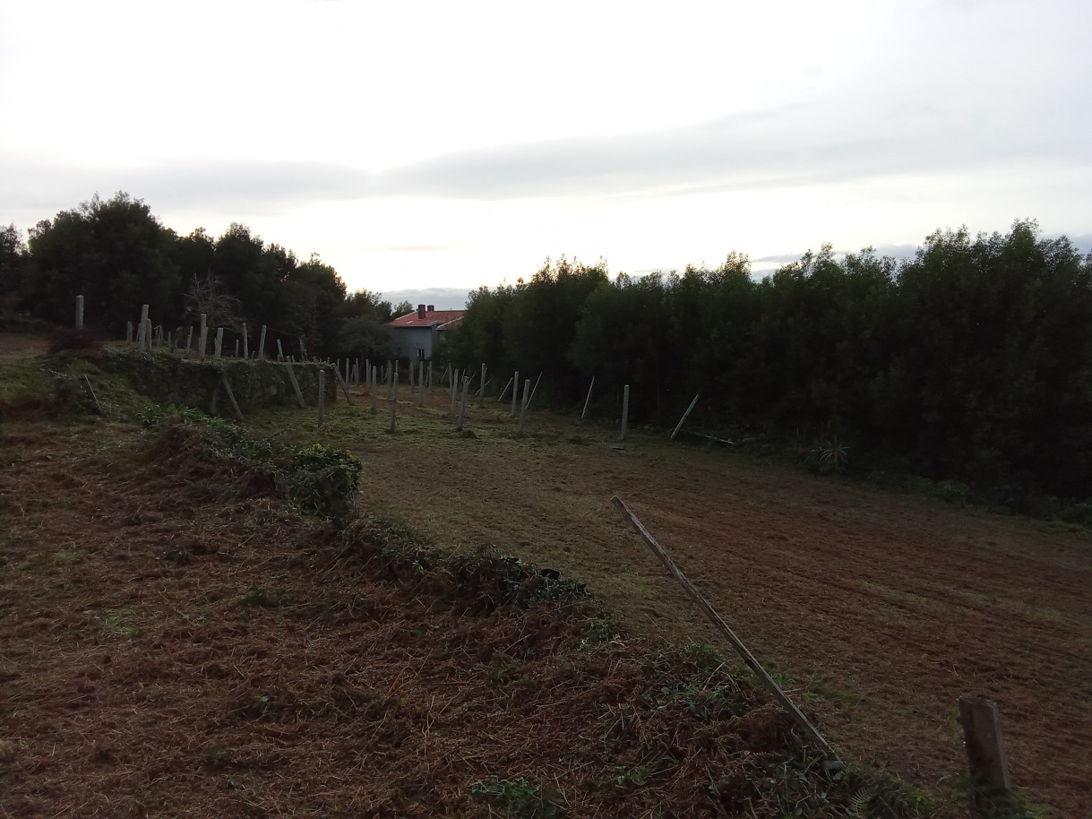 img-20241204-153145jpg