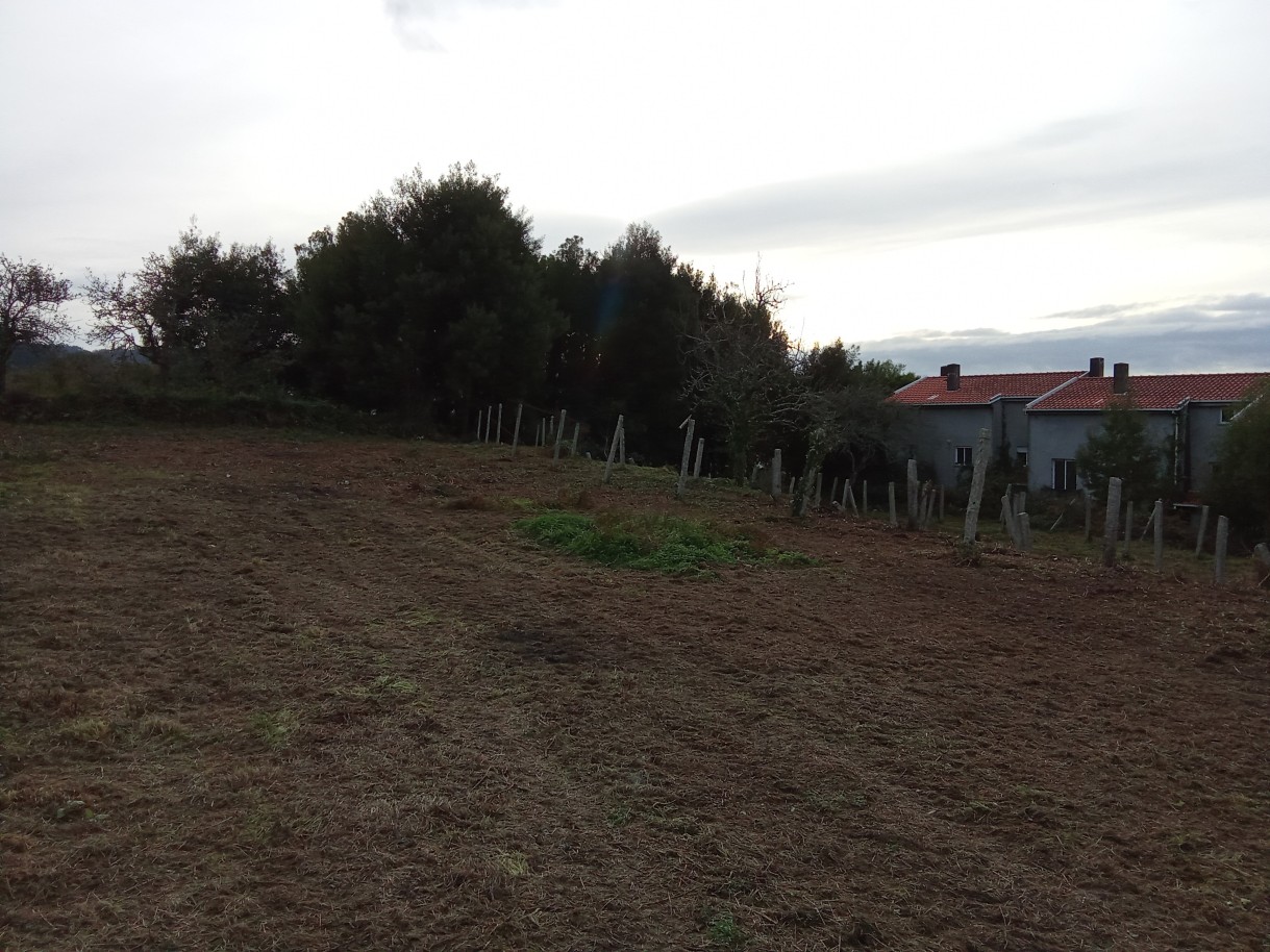 img-20241204-153259jpg