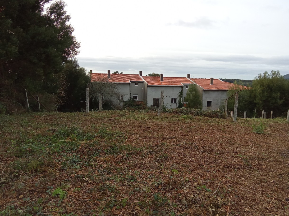 img-20241204-153354jpg