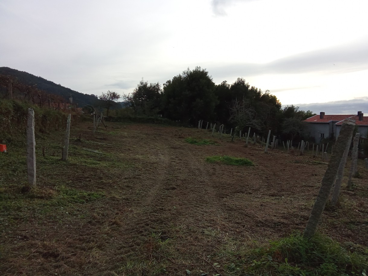 img-20241204-153232jpg