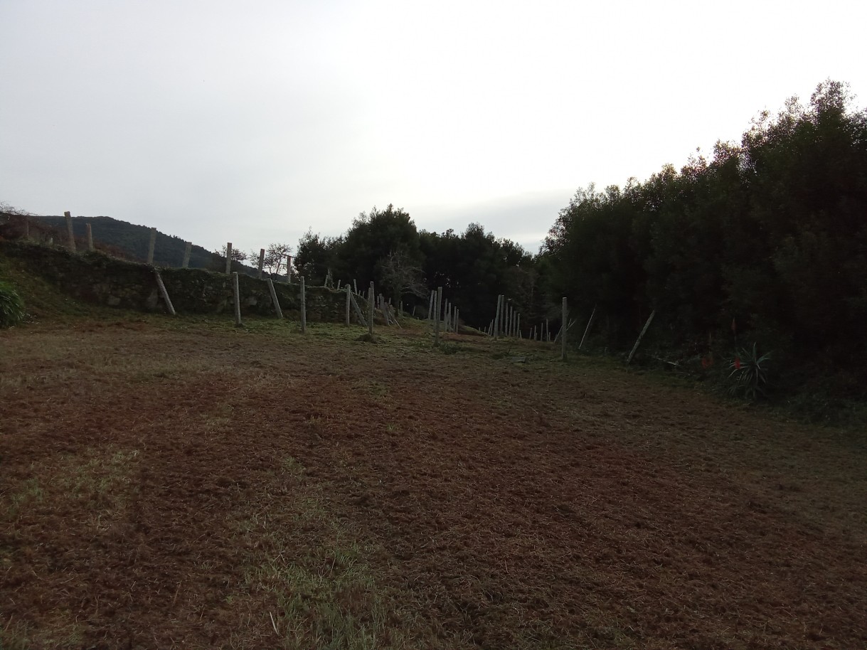 img-20241204-153948jpg