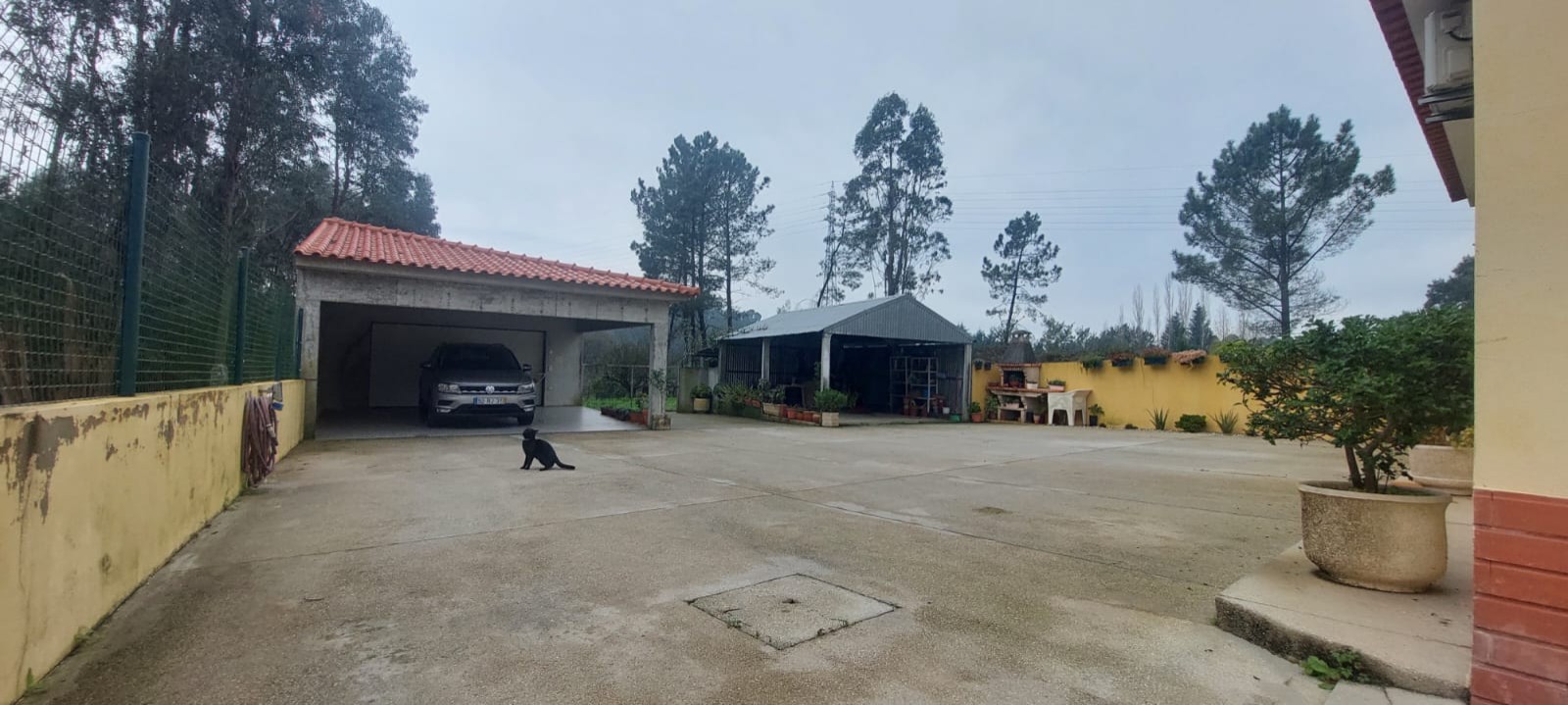 8jpg