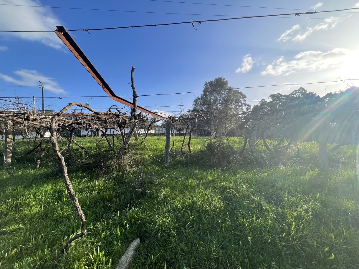 img-1888jpeg