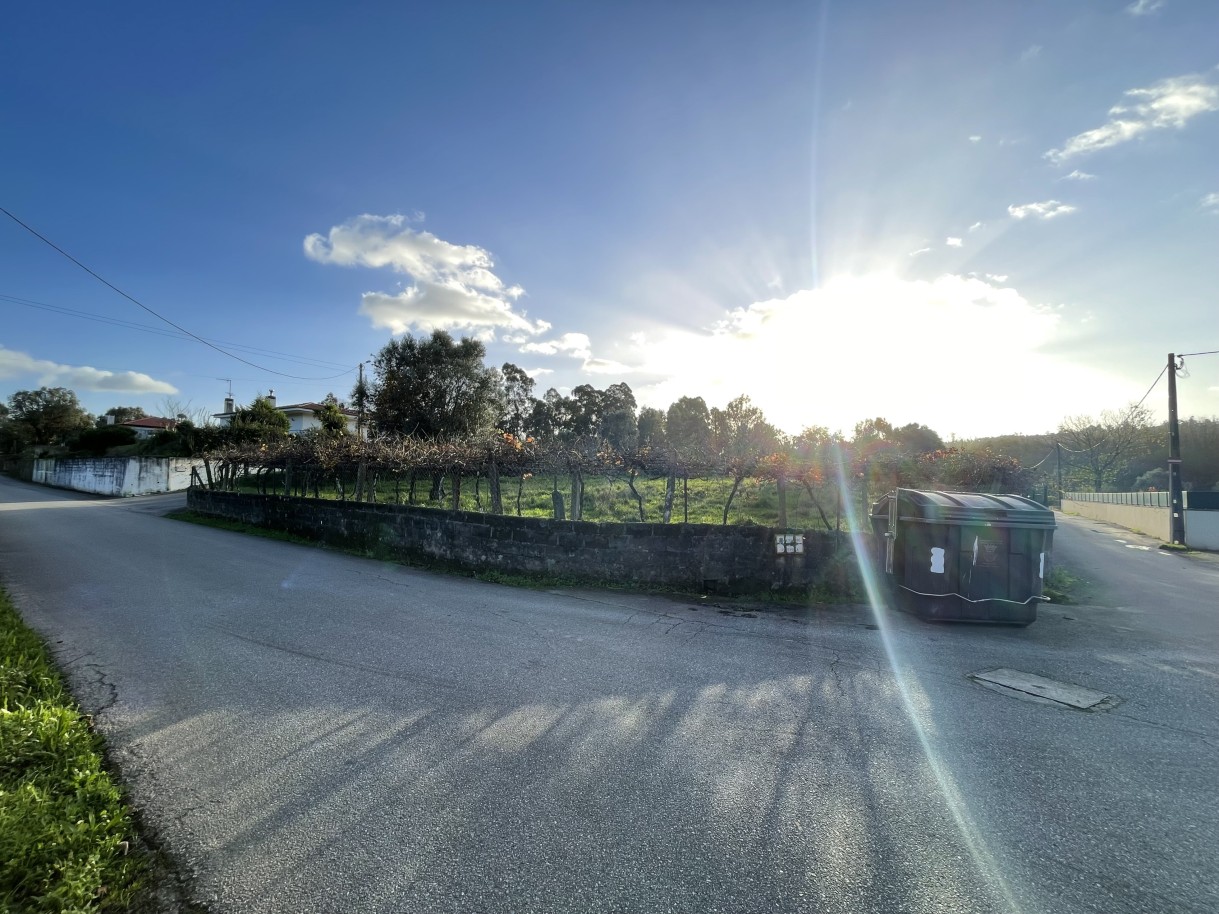 img-1895jpeg