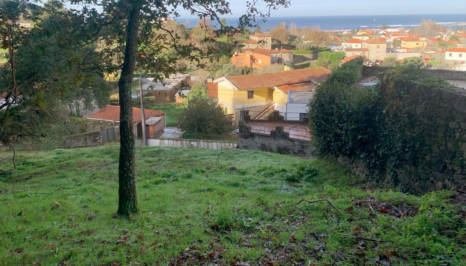 06jpg
