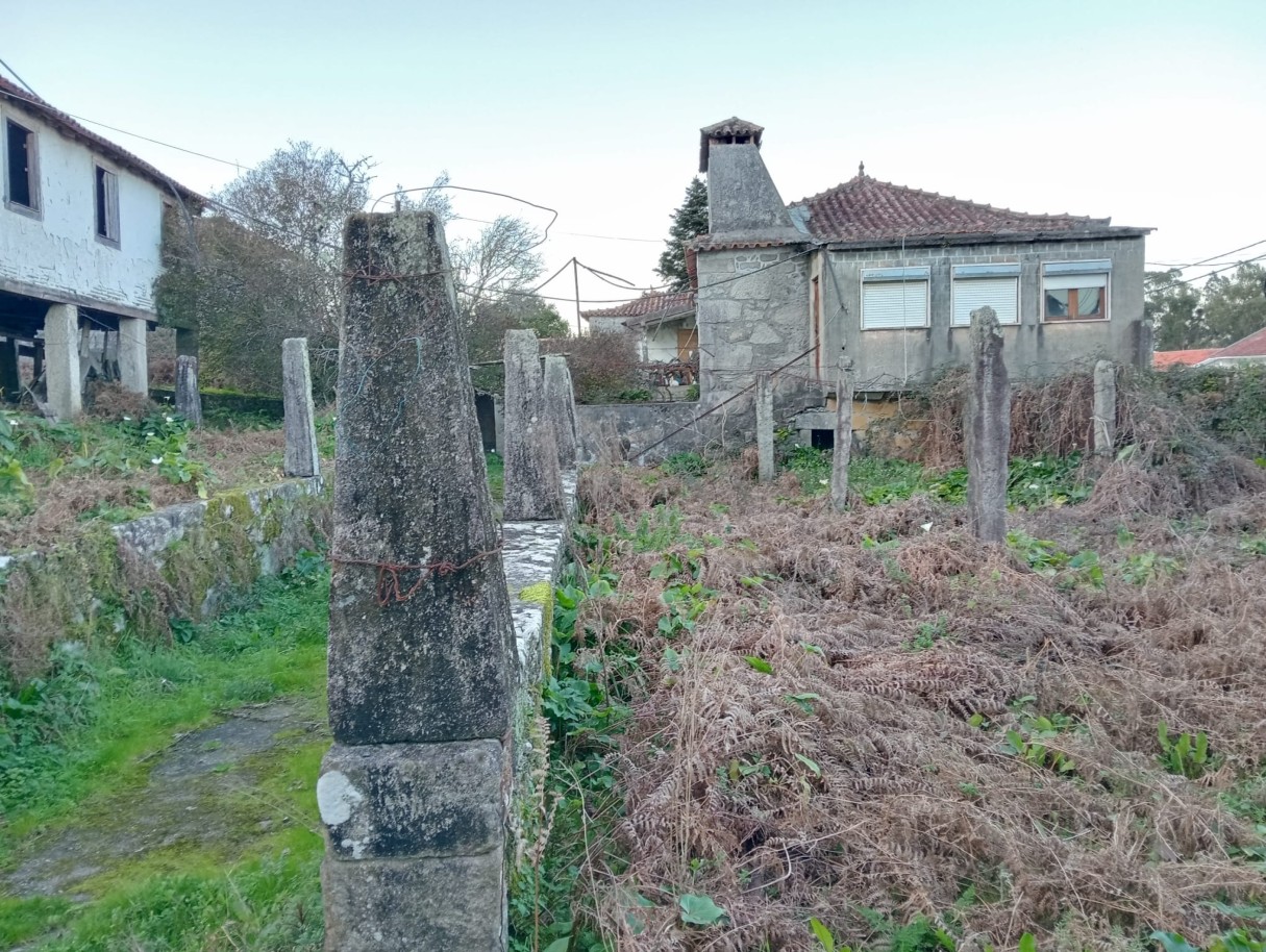 casas-1jpeg