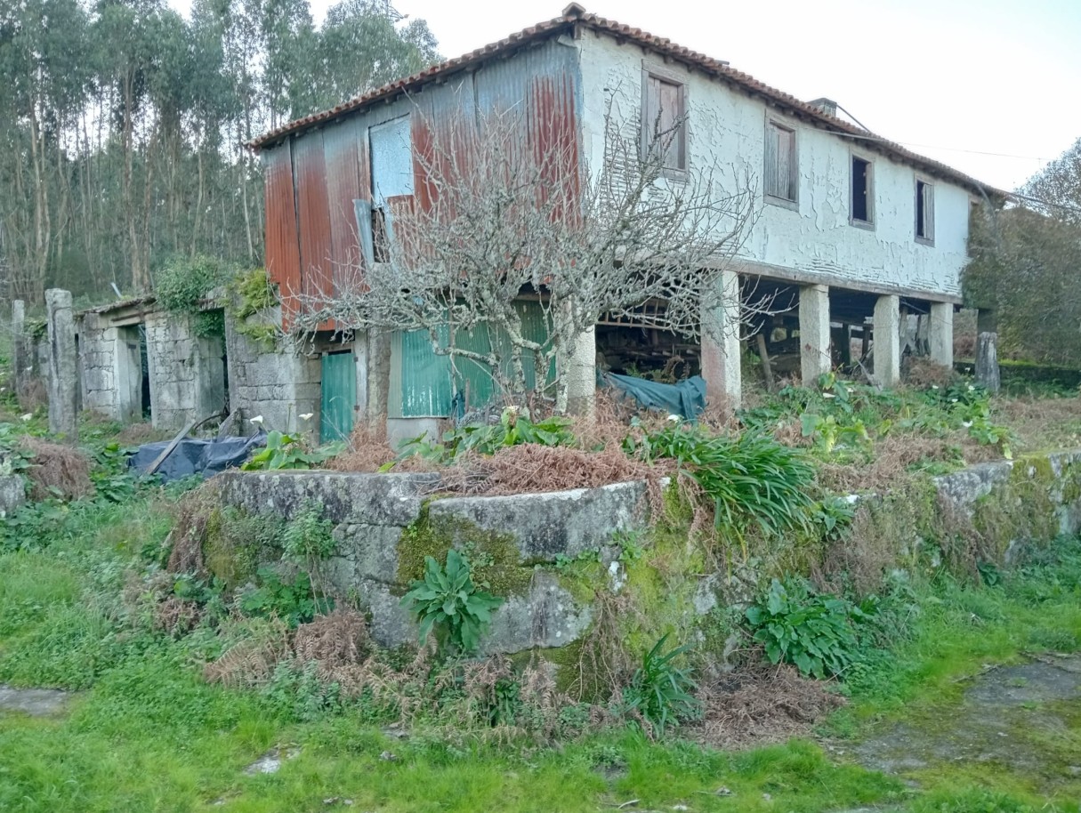 casas-2jpeg