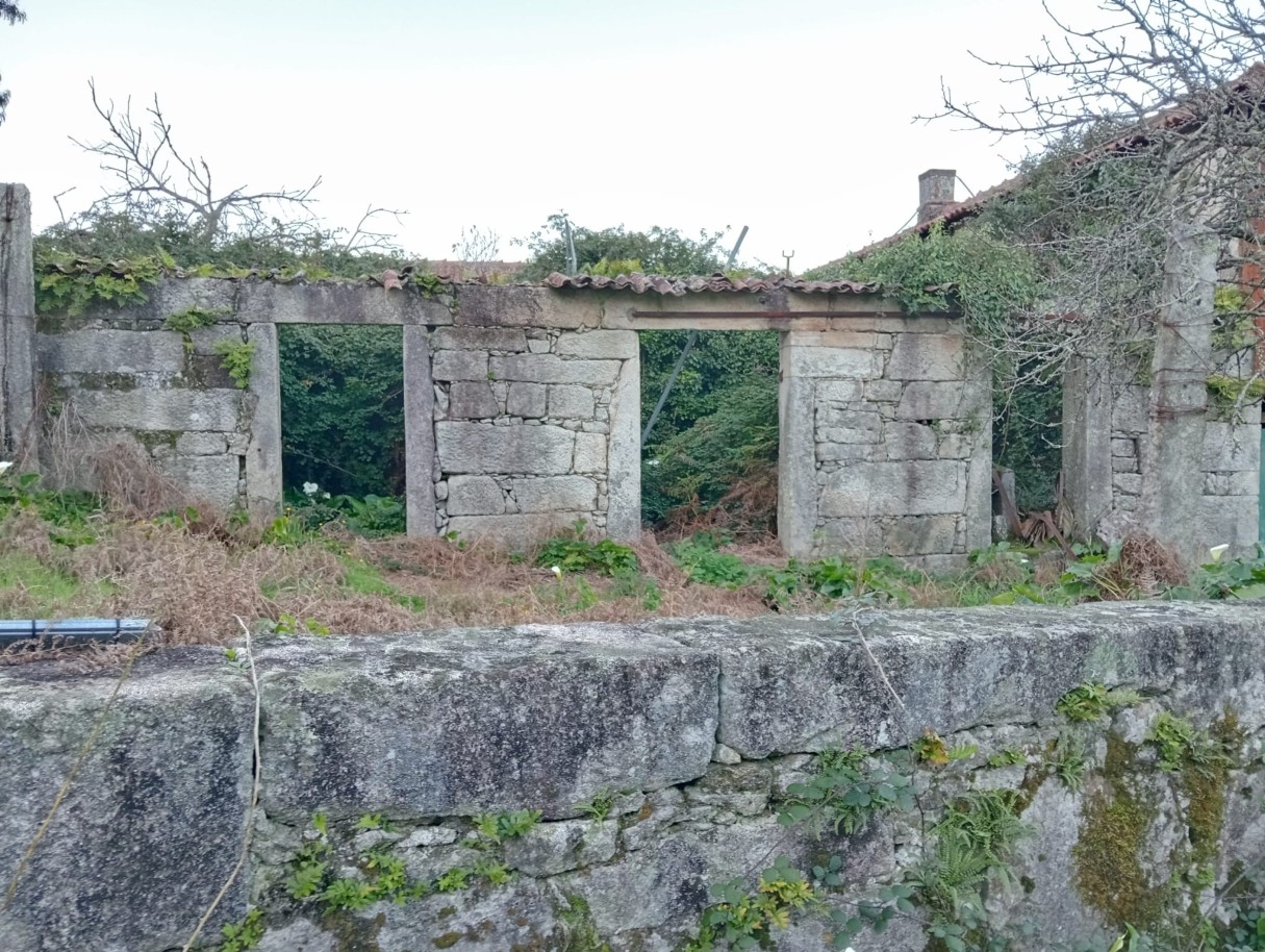 casas-3jpeg