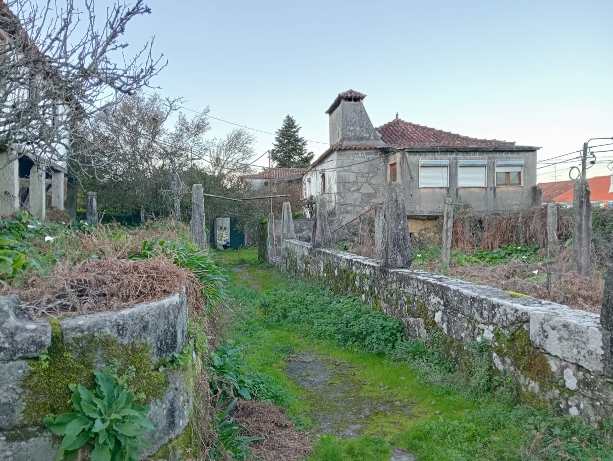 casas-6jpeg