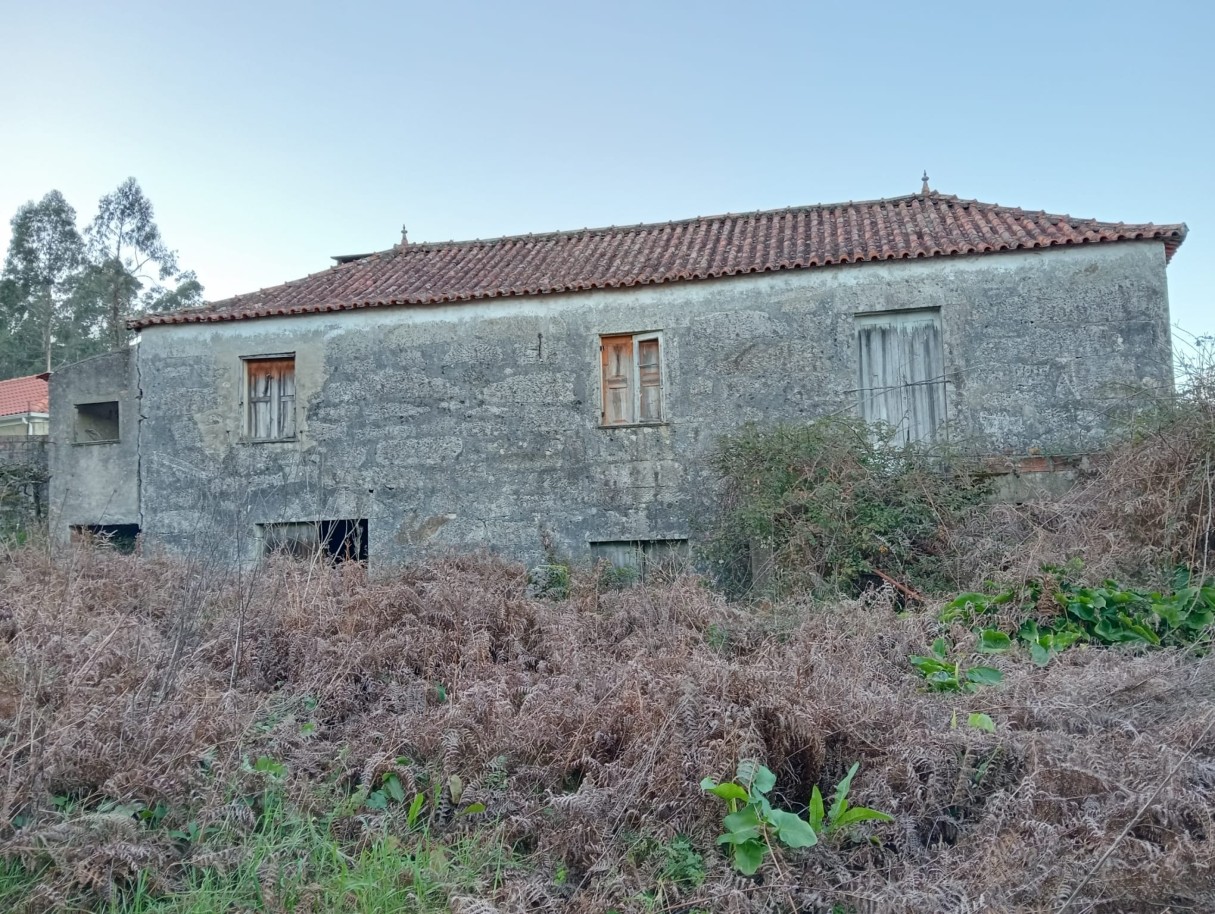 casas-7jpeg
