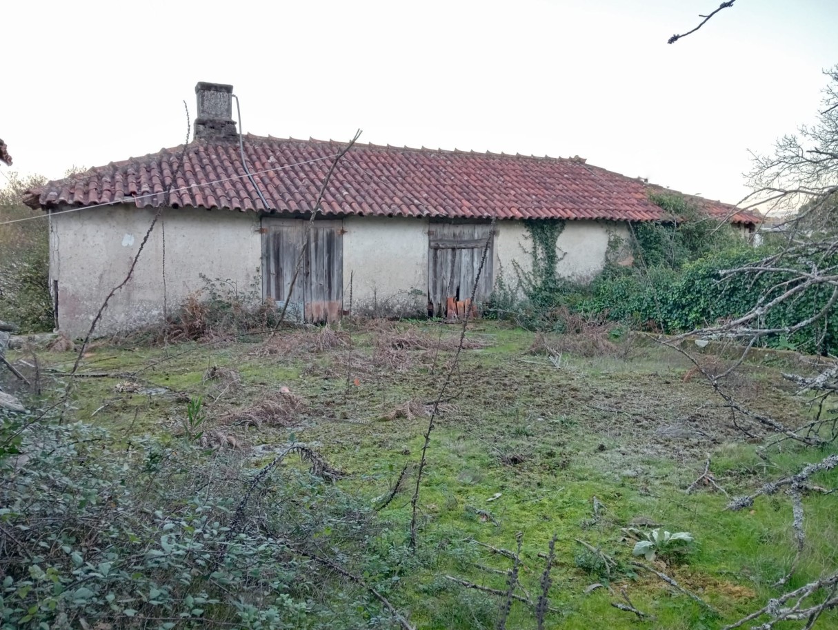 casas-8jpeg