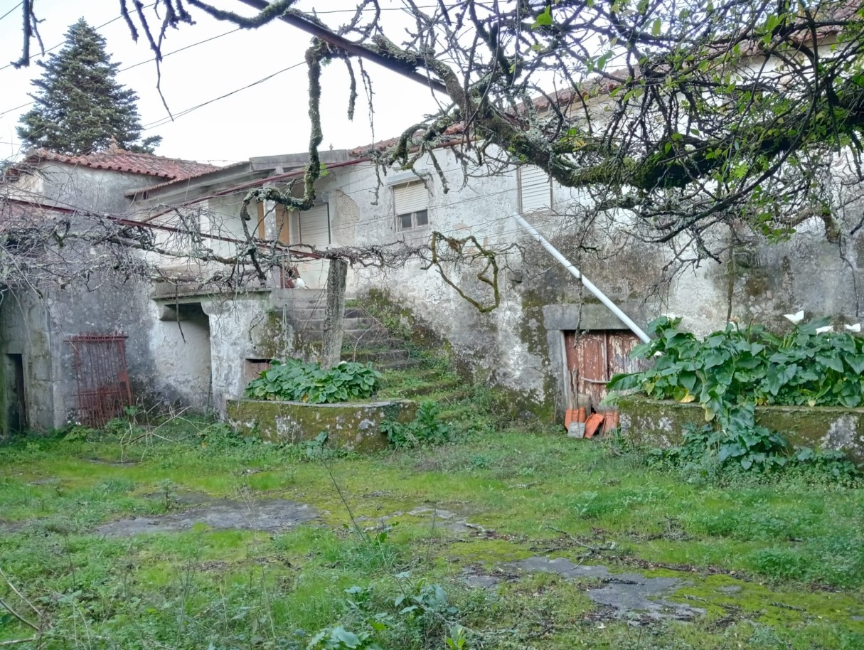 casas-10jpeg