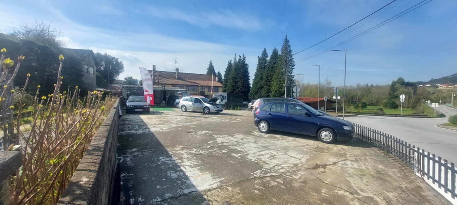20250312-101534jpg