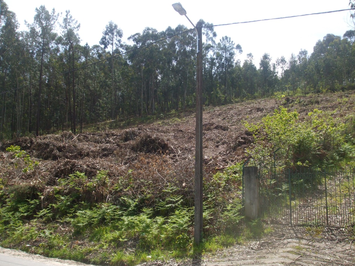 x2-vista-frente-de-estrada-51-mjpg