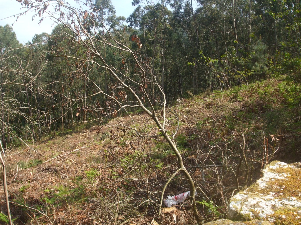 x3-vista-lateral-de-poentejpg