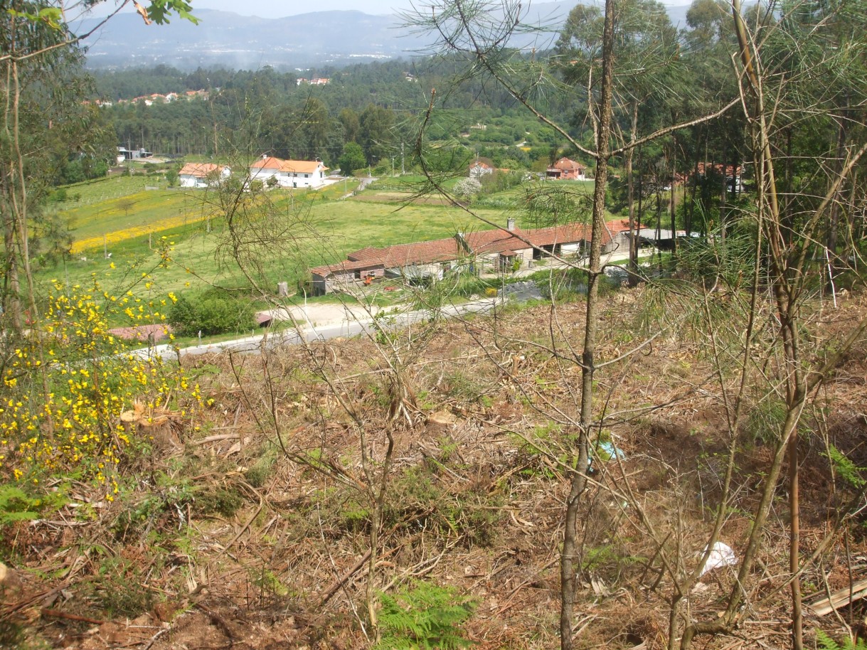 x5-vista-de-cimajpg