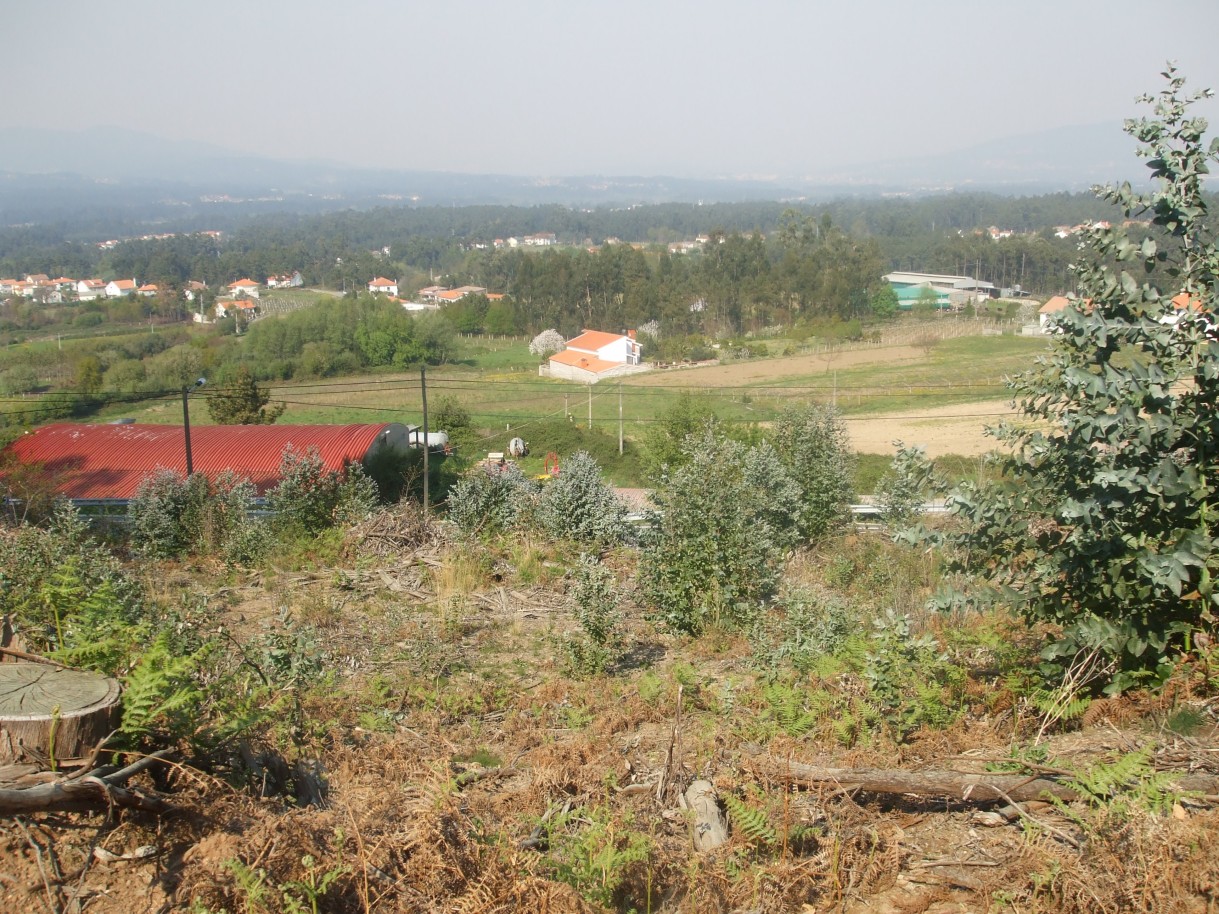 x6-vista-de-cimajpg