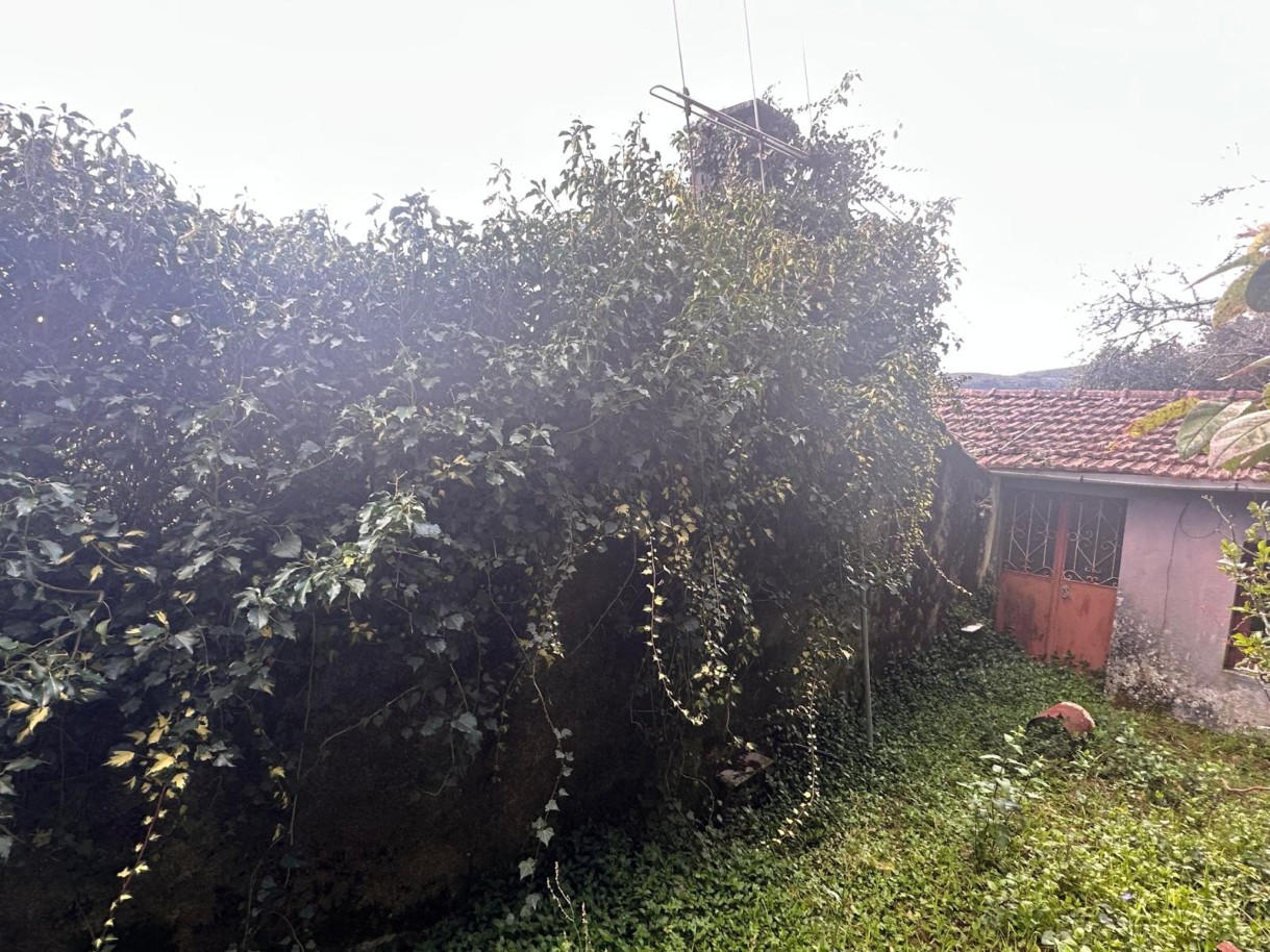 img-20250325-wa0038jpg