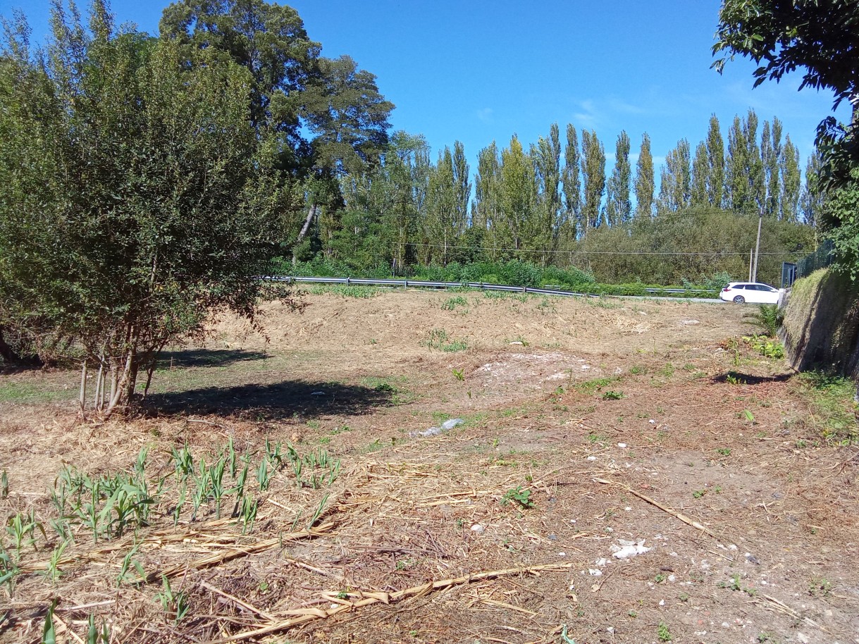 img-20240916-120855jpg