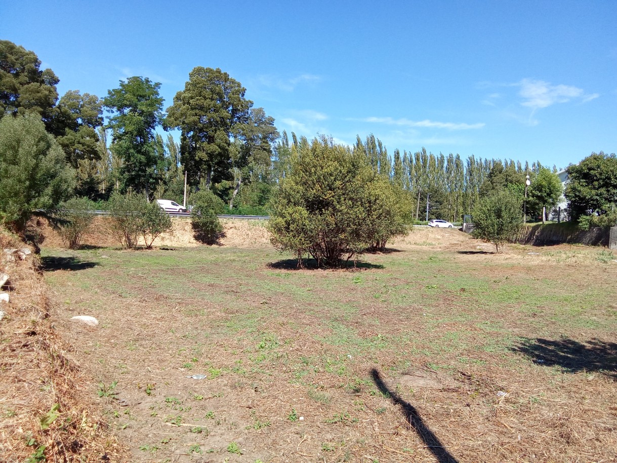 img-20240916-121045jpg