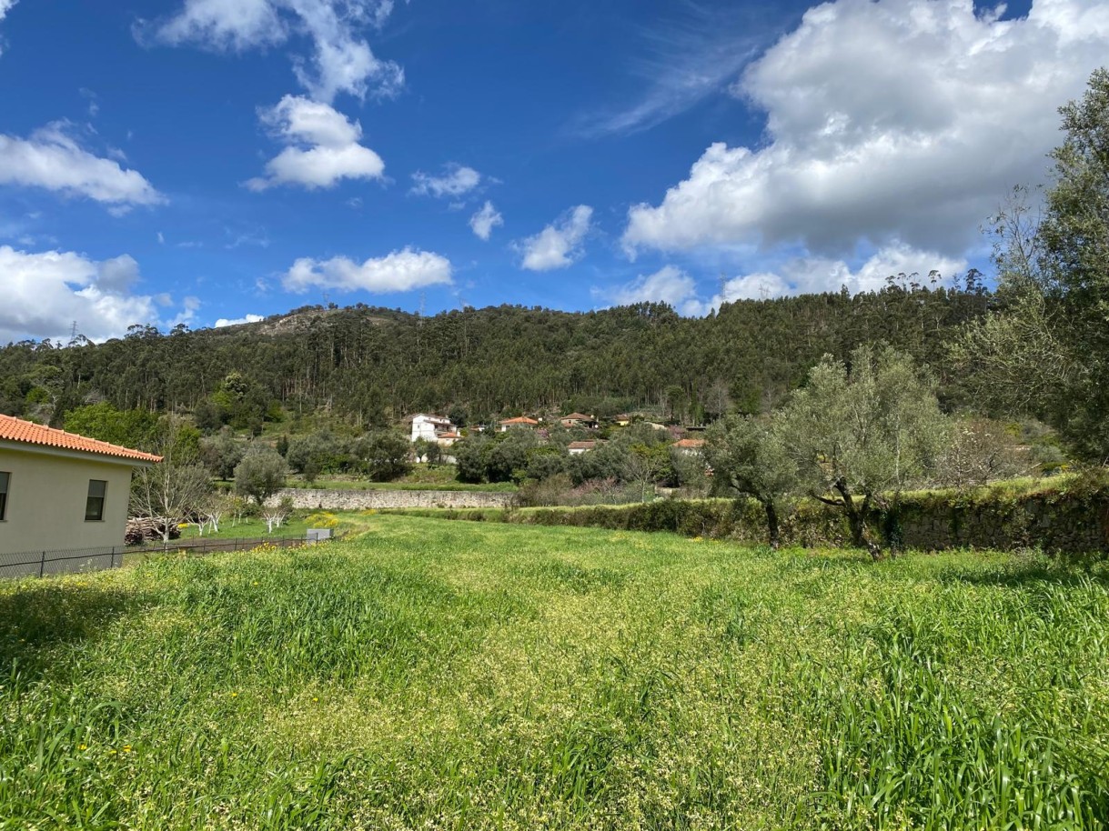 terreno-4jpeg