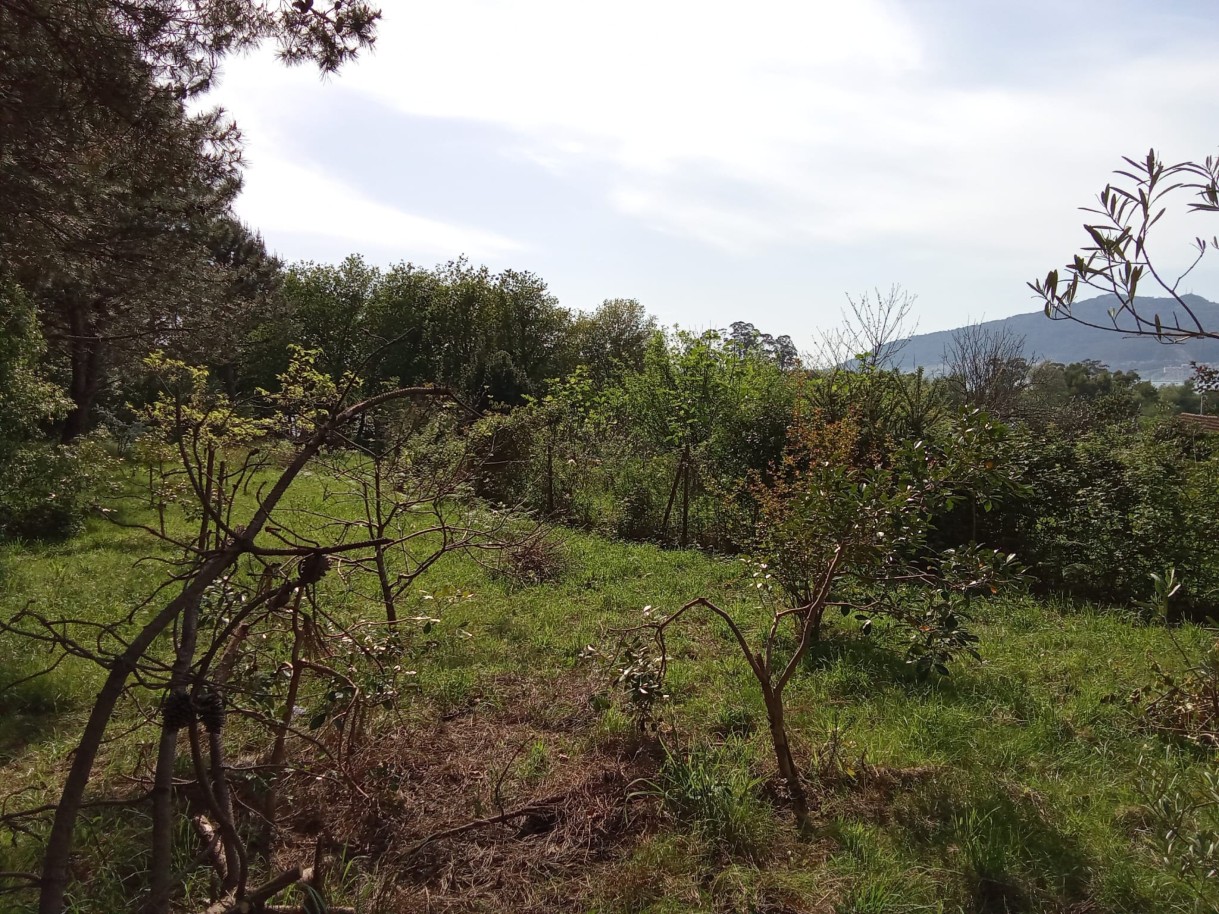 img-20250411-wa0019jpg