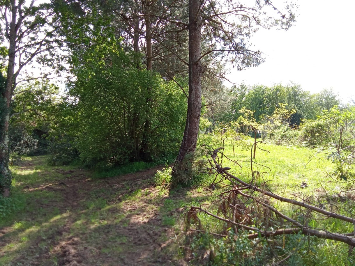 img-20250411-wa0020jpg