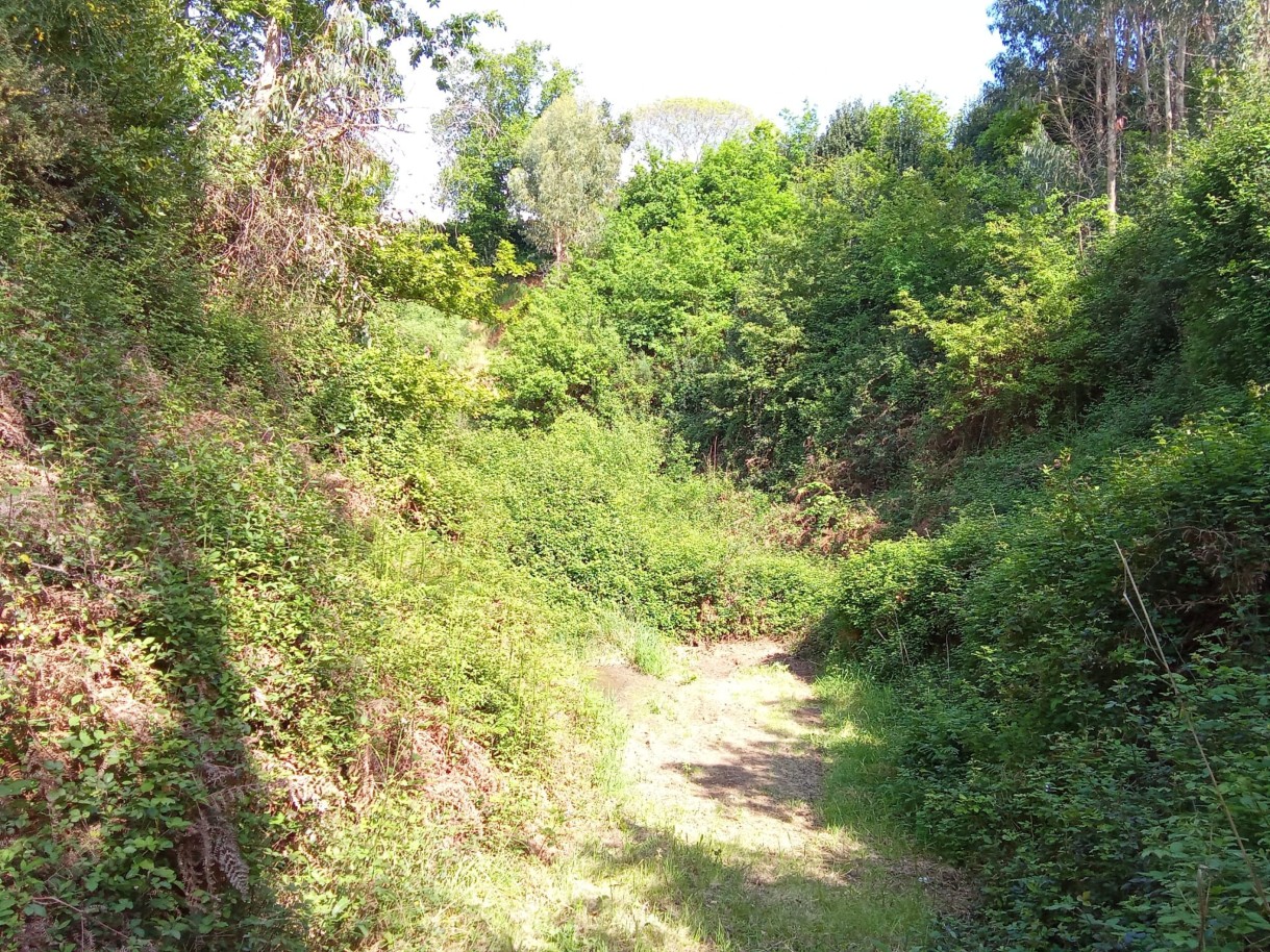 img-20250411-wa0021jpg