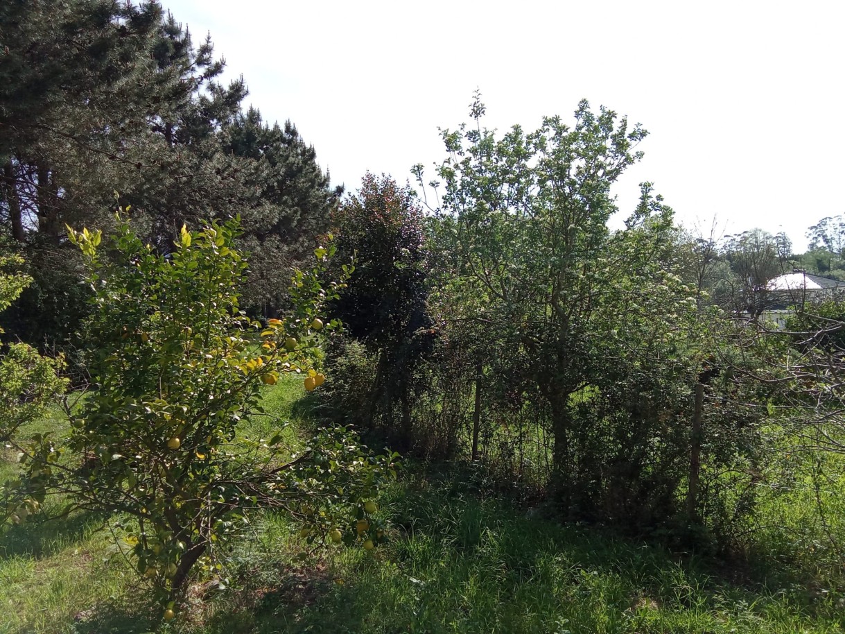 img-20250411-wa0024jpg