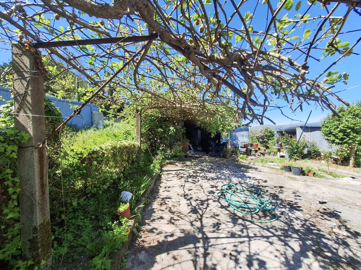13-img-20250427-wa0064jpg