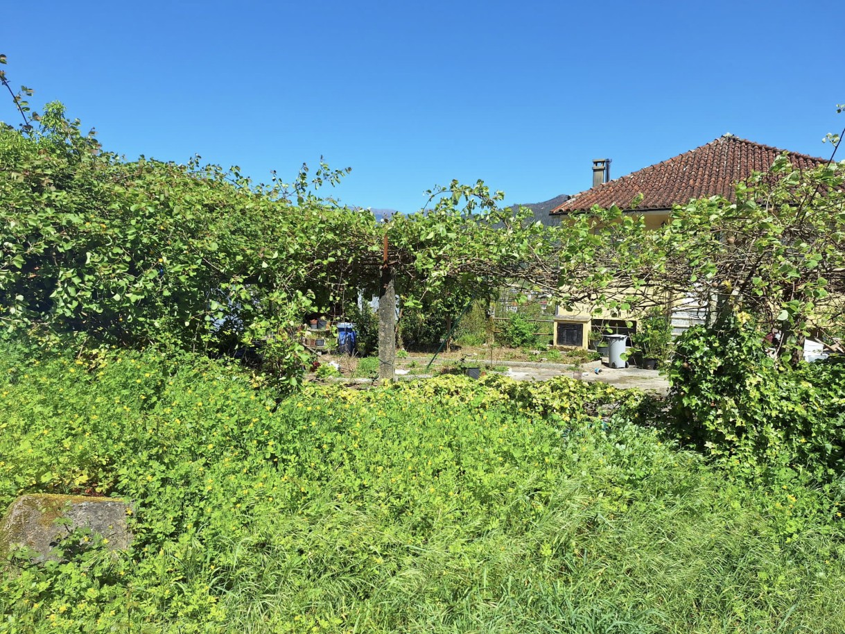 14-img-20250427-wa0060jpg