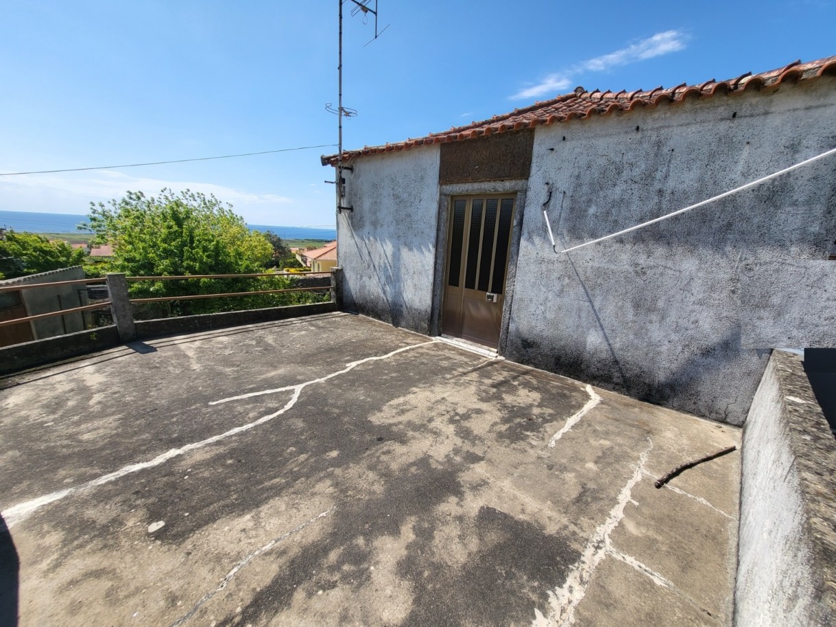d0977996-36bc-4280-9820-2dade49af8f9jpg