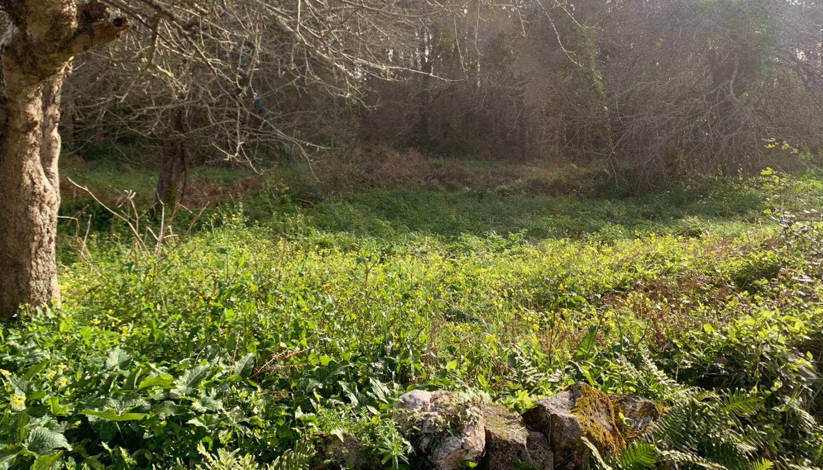 vcc14271-10jpg