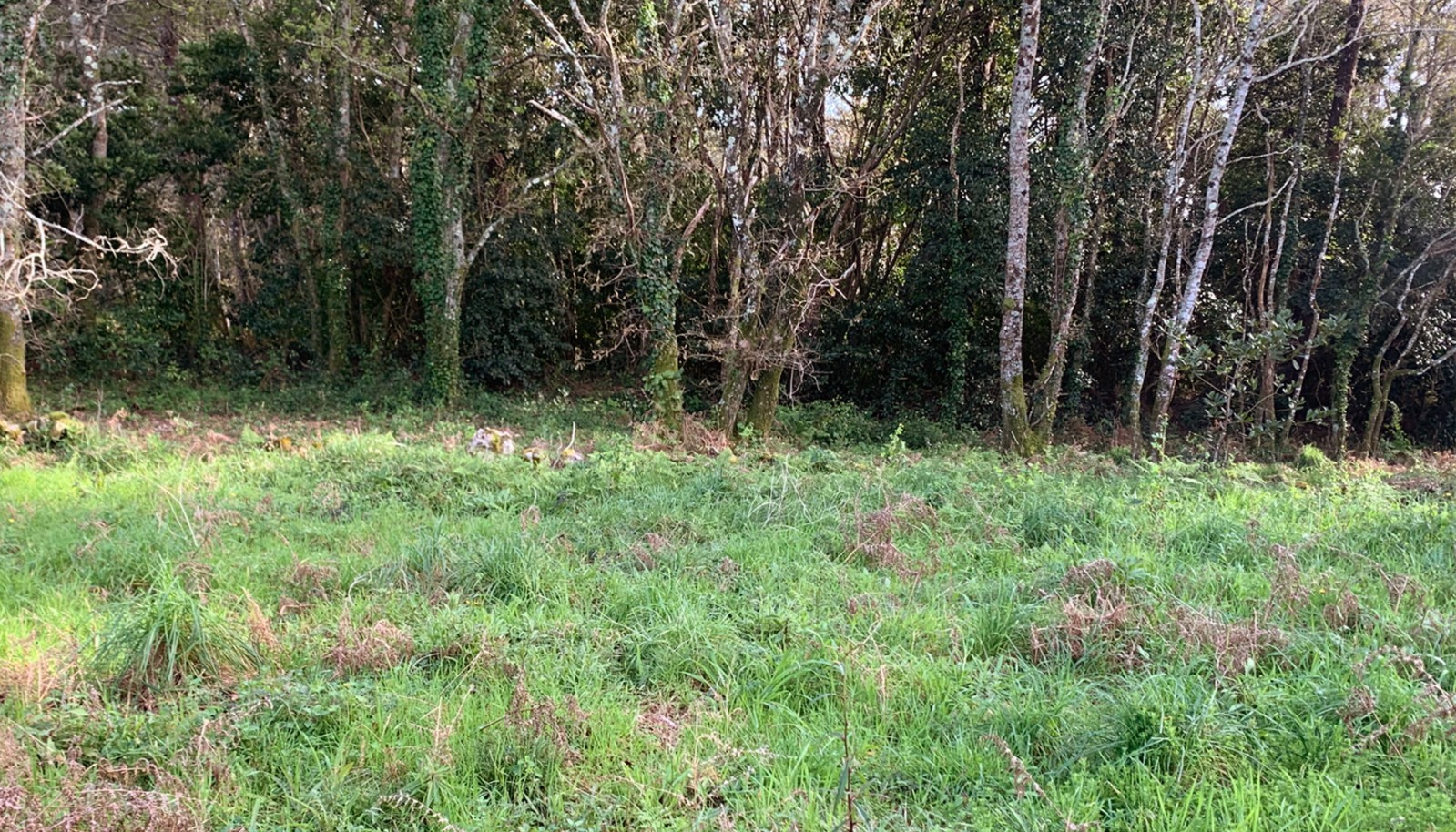 vcc14271-12jpg