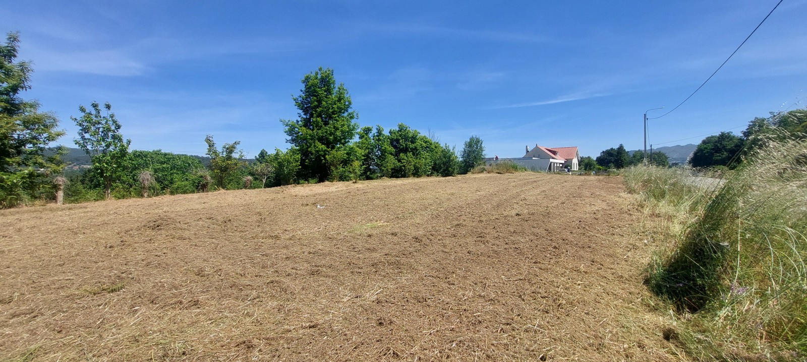 20250528-120416jpg