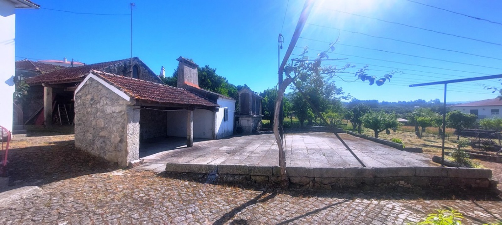 20250527-093853jpg
