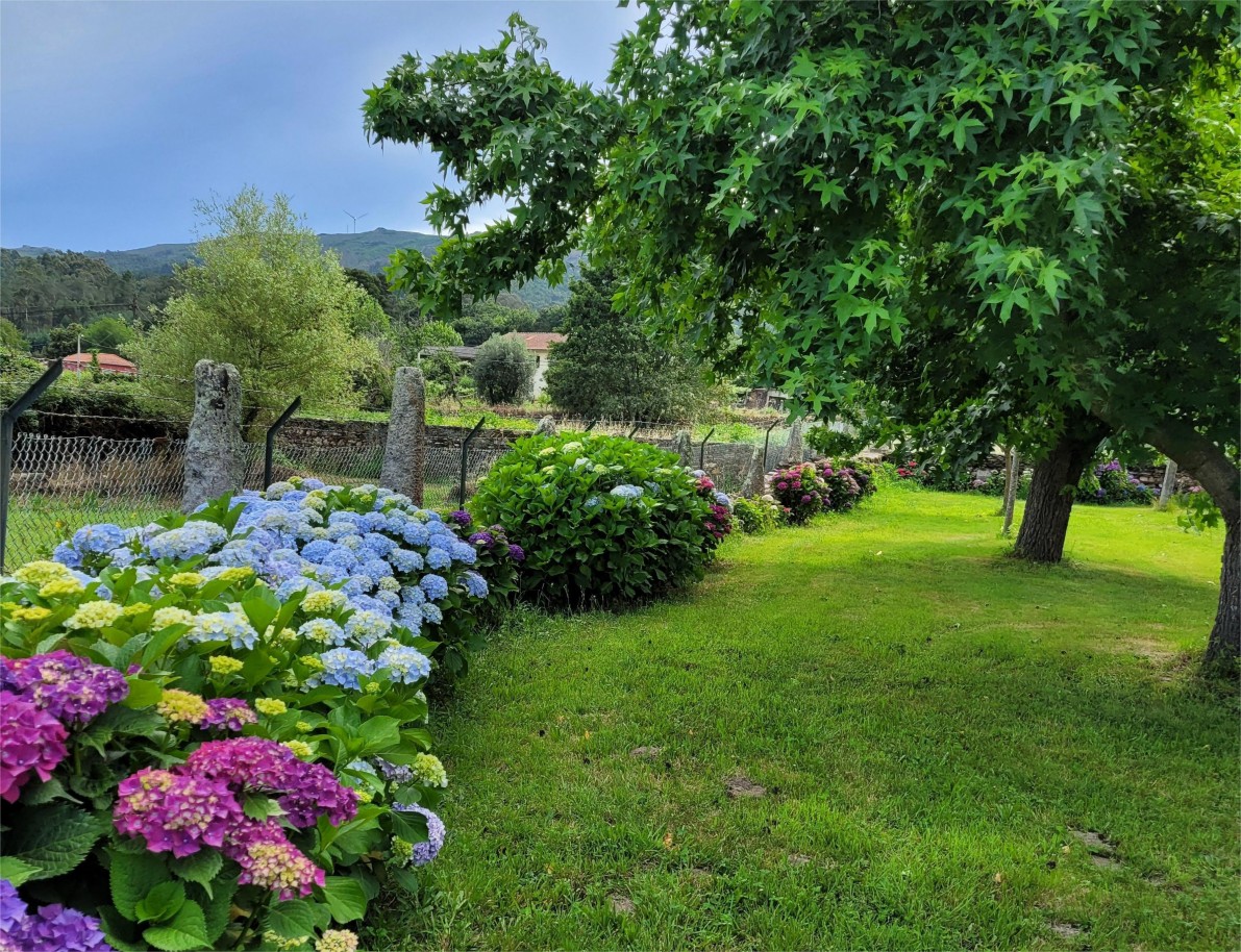 property-boundariesjpg