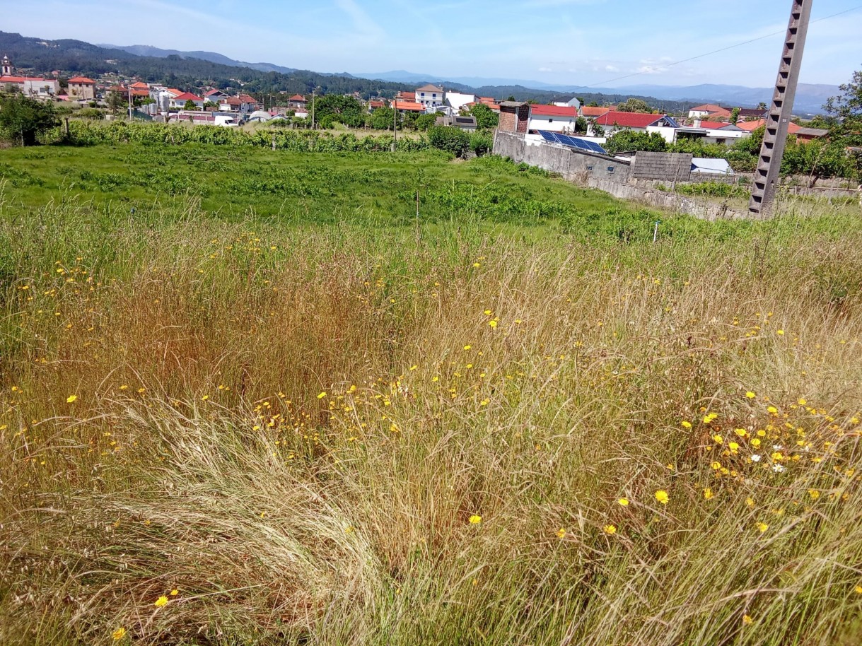 img-20250624-wa0125jpg