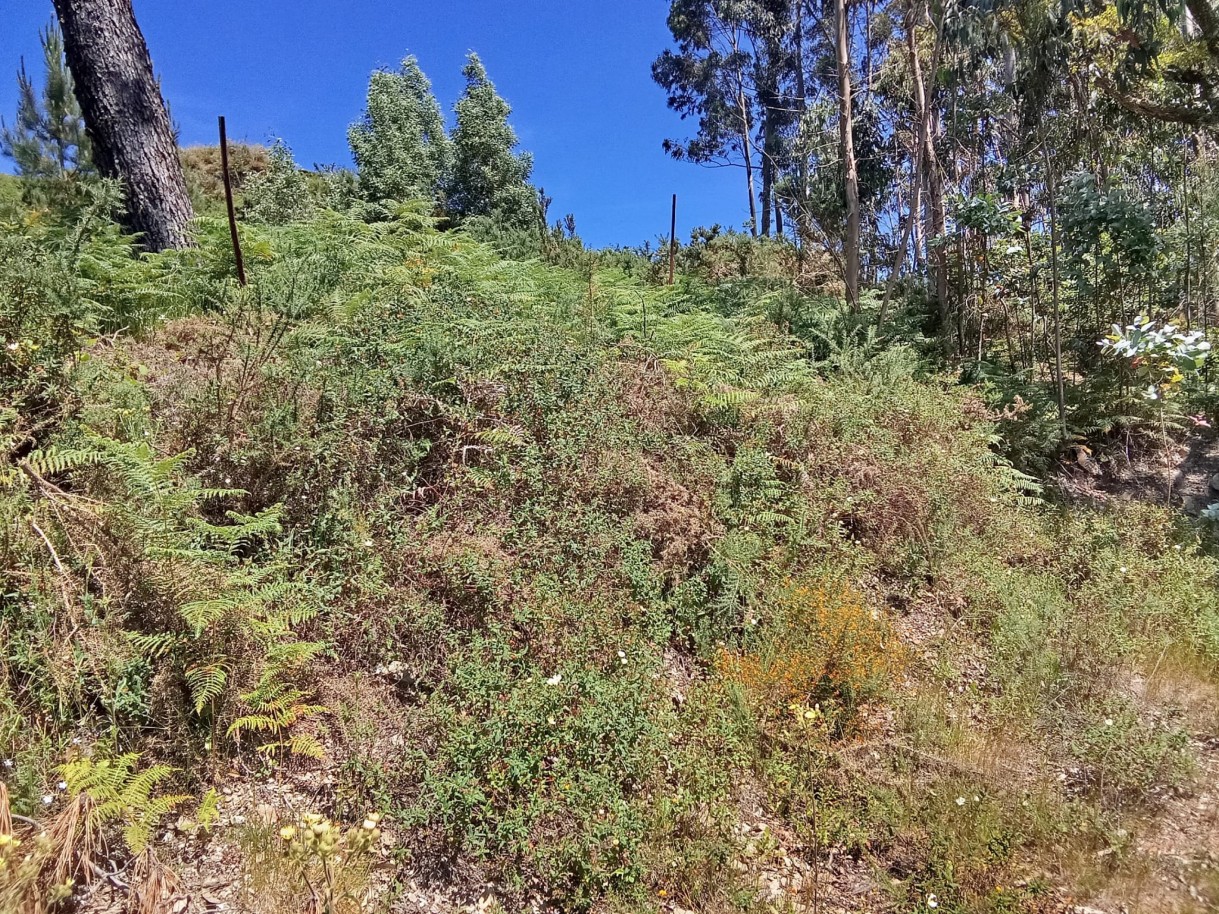 img-20250624-wa0119jpg