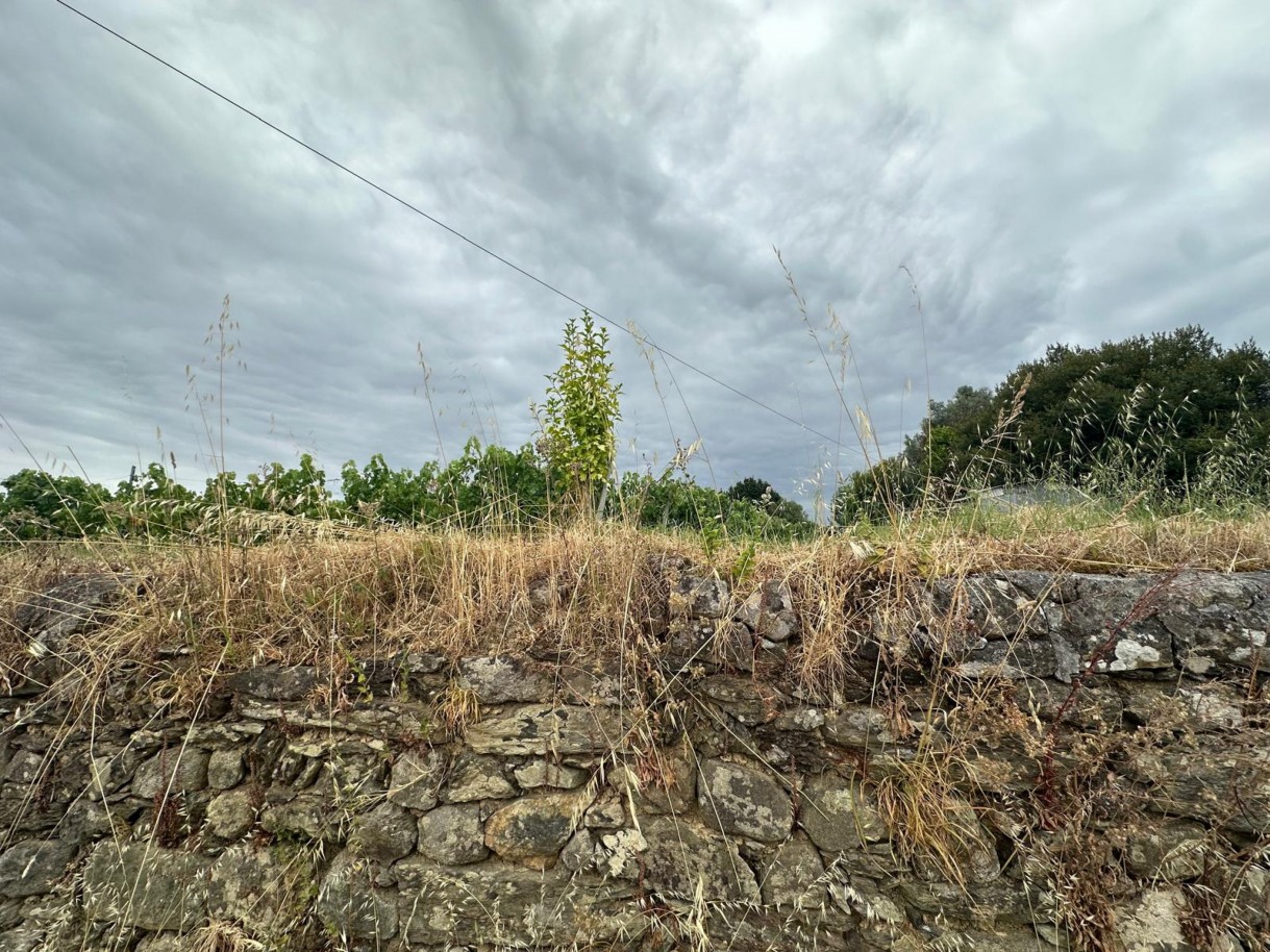 59b4fbed-f905-41e0-9229-24ee2ac8ed77jpeg