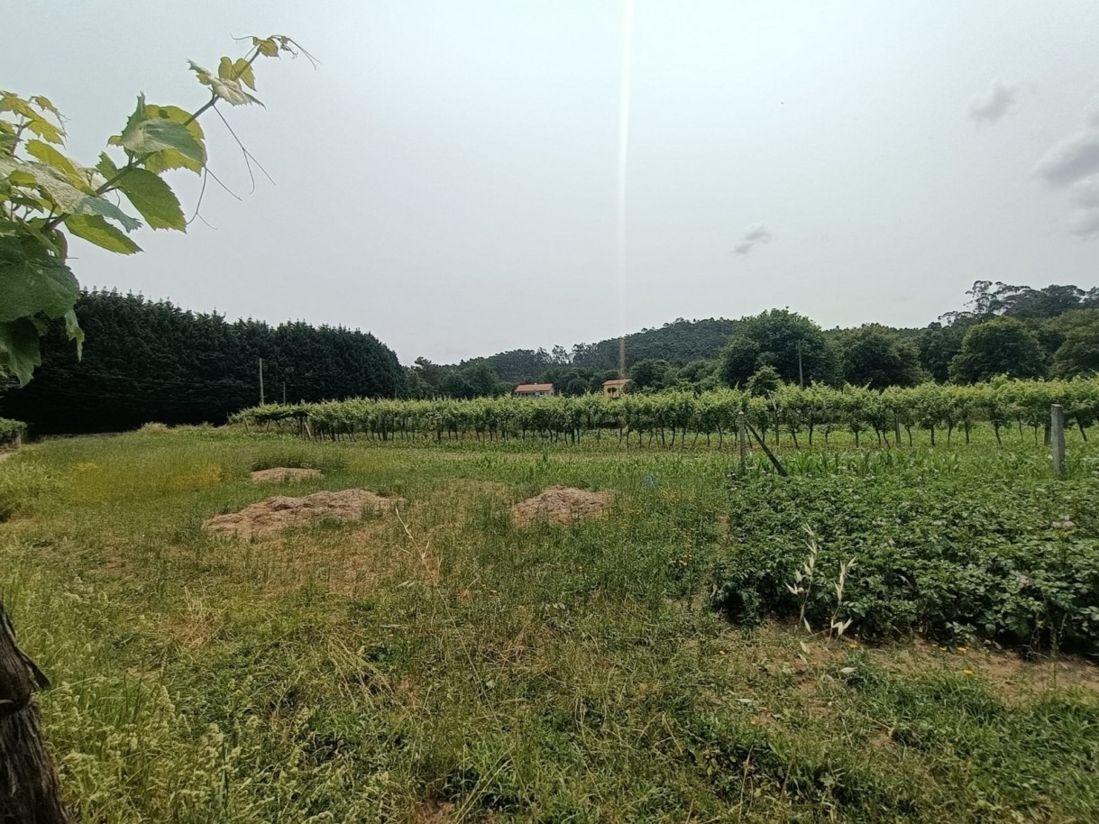 2c7c8283-5c05-411d-882b-61b6272456bcjpeg