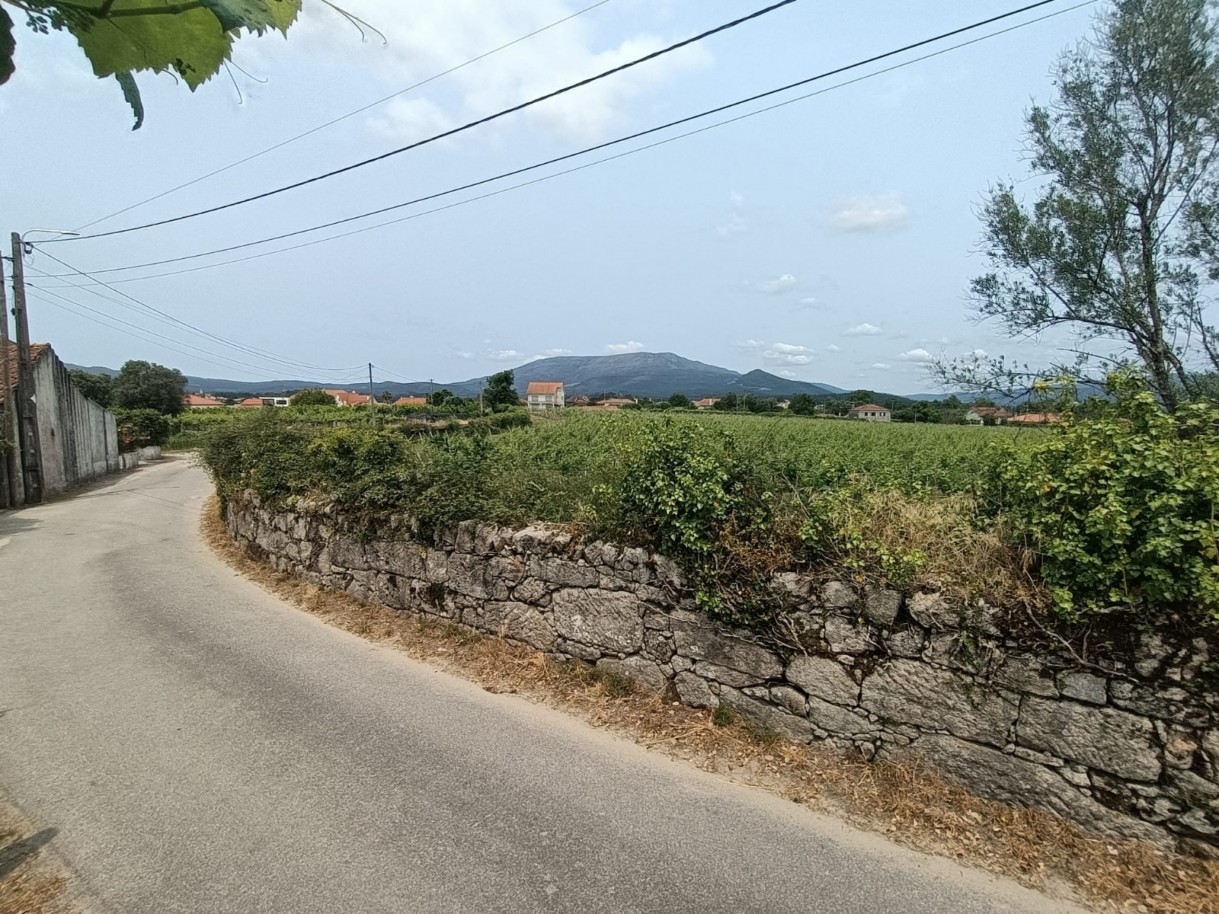 8f3d3d95-f650-44cb-aeaf-f0e48da26951jpeg