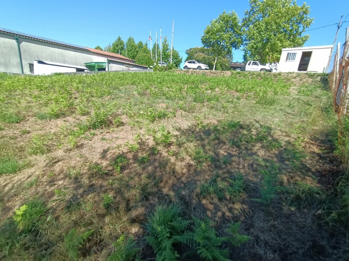 14905884-7531-454a-bc61-5aac573261f5jpeg