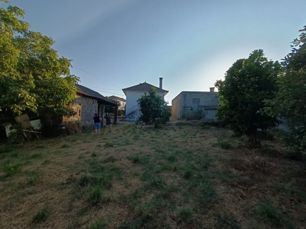c4b1e5d1-4596-4f3f-87e2-178773eeb105jpeg