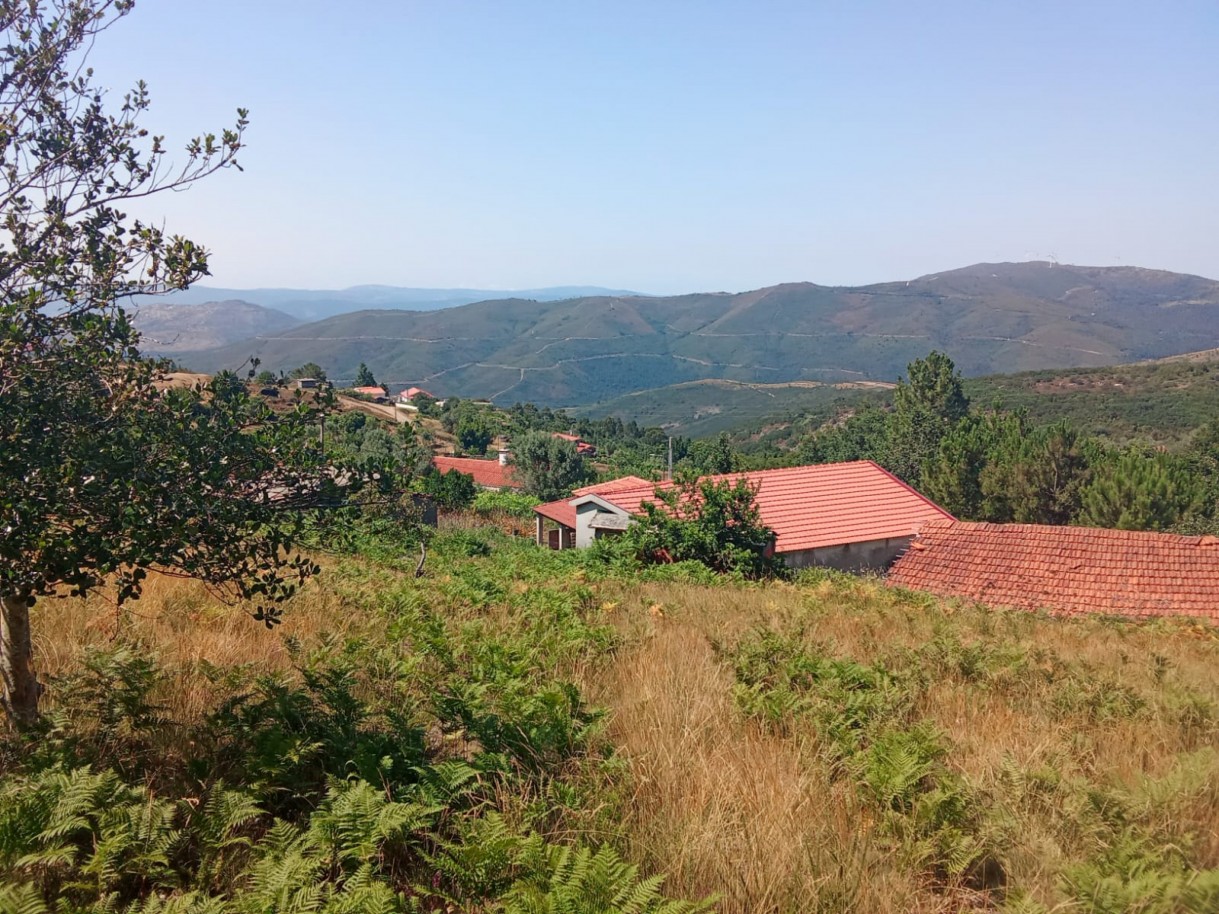 img-20250721-wa0010jpg