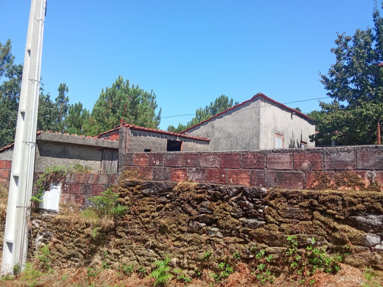 img-20250725-wa0001jpg